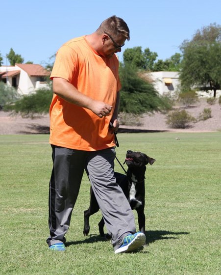 qualityk9: Dog Boarding Phoenix