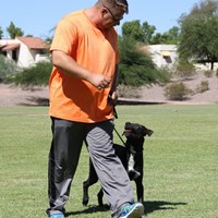 qualityk9's Portfolio